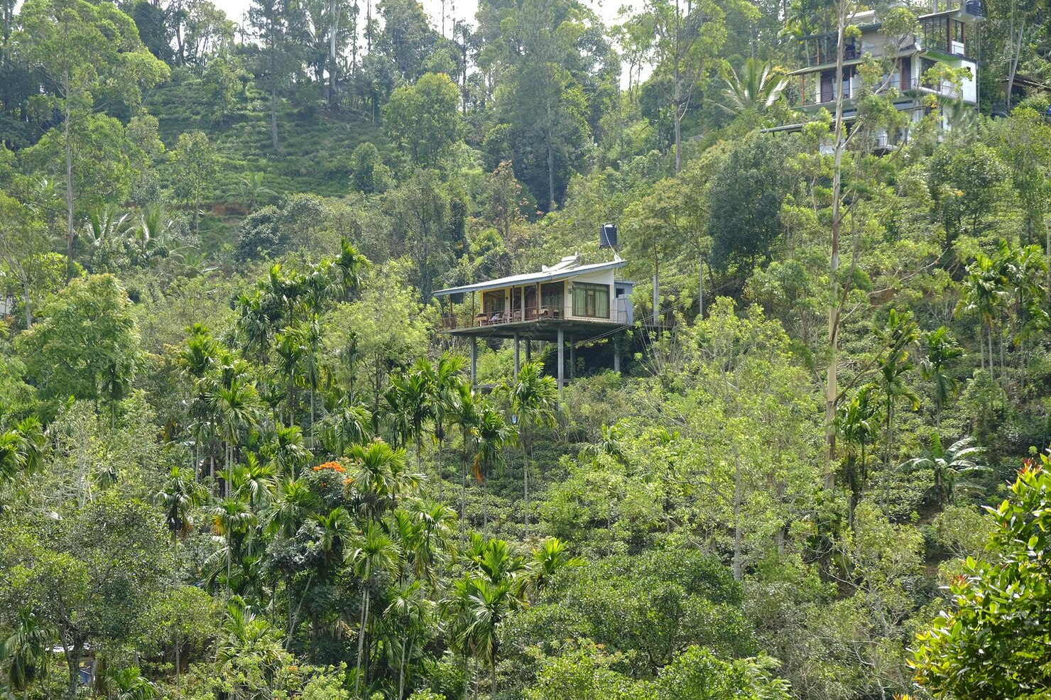 Projeto e cadastro no CAR (Cadastro Ambiental Rural)